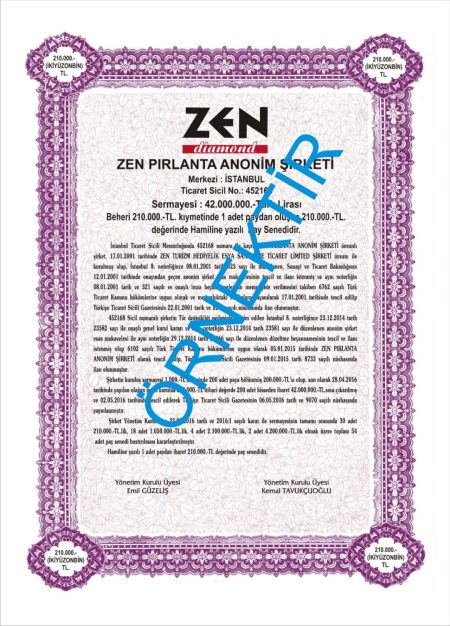 Hisse Pay Senedi Örnekleri 3